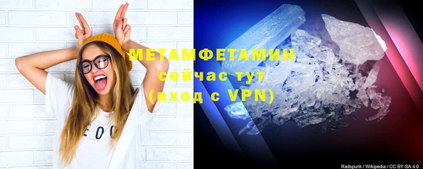 мдпв Ельня