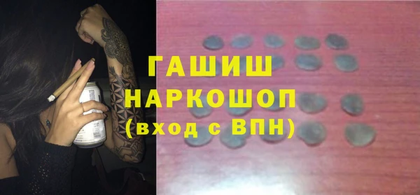 мдпв Ельня