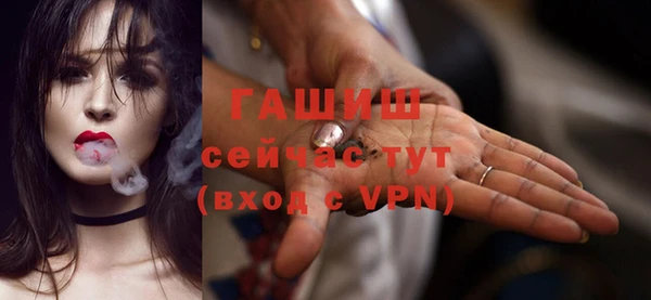 мдпв Ельня