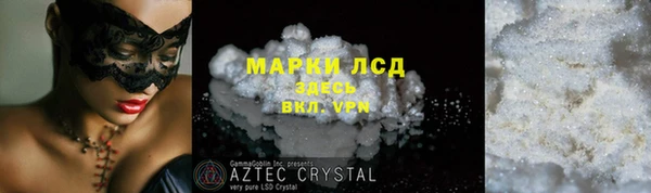 мдпв Ельня