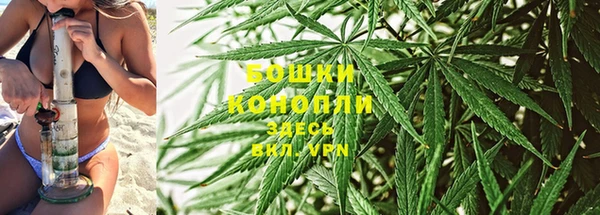 мдпв Ельня