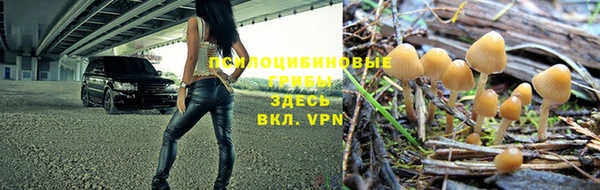 ALPHA PVP Елабуга