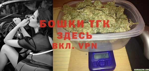 мдпв Ельня