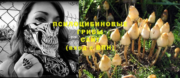 дмт Дмитров